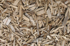 biomass boilers Gratwich